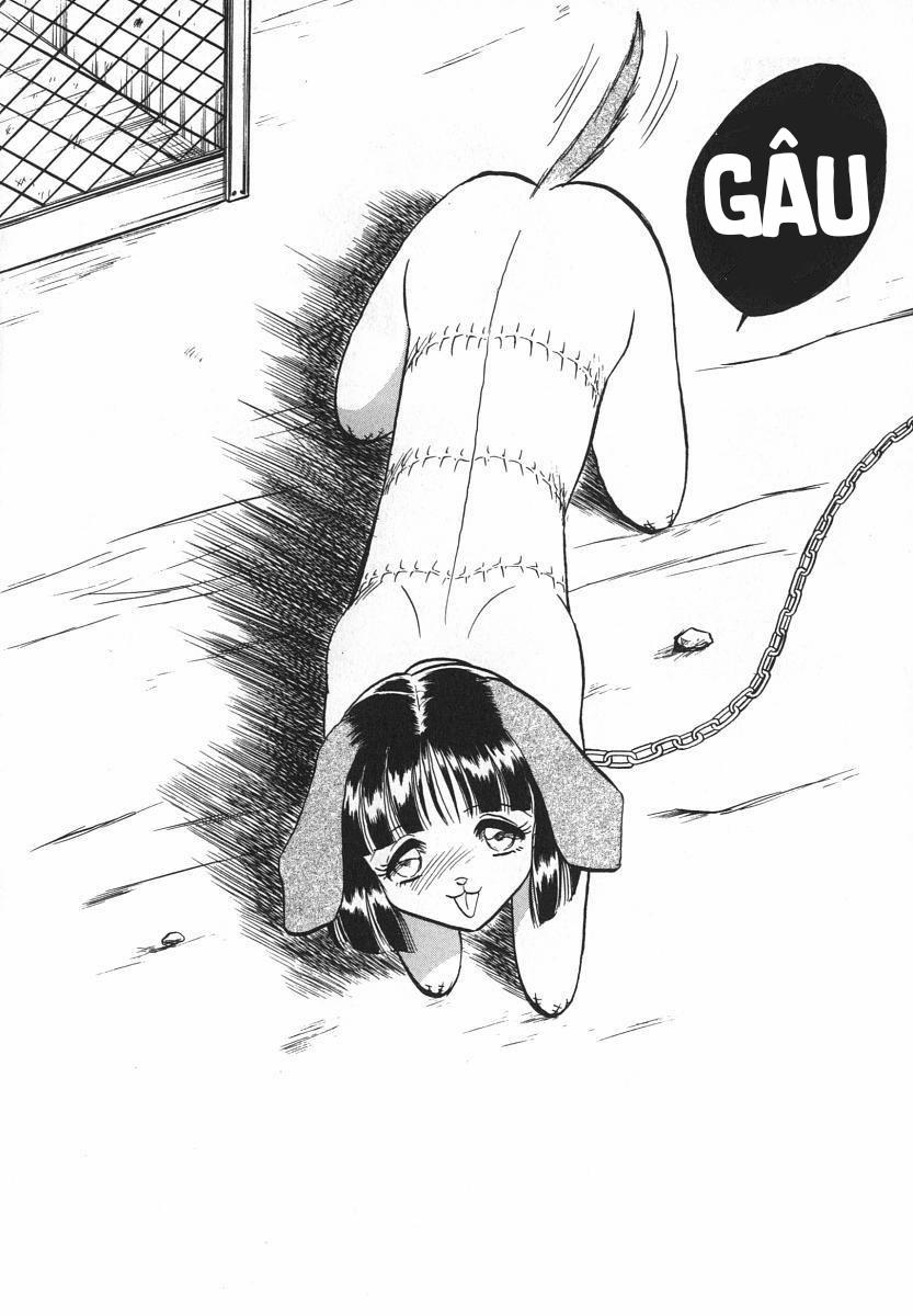 Oh! My DOG 7 trang 10