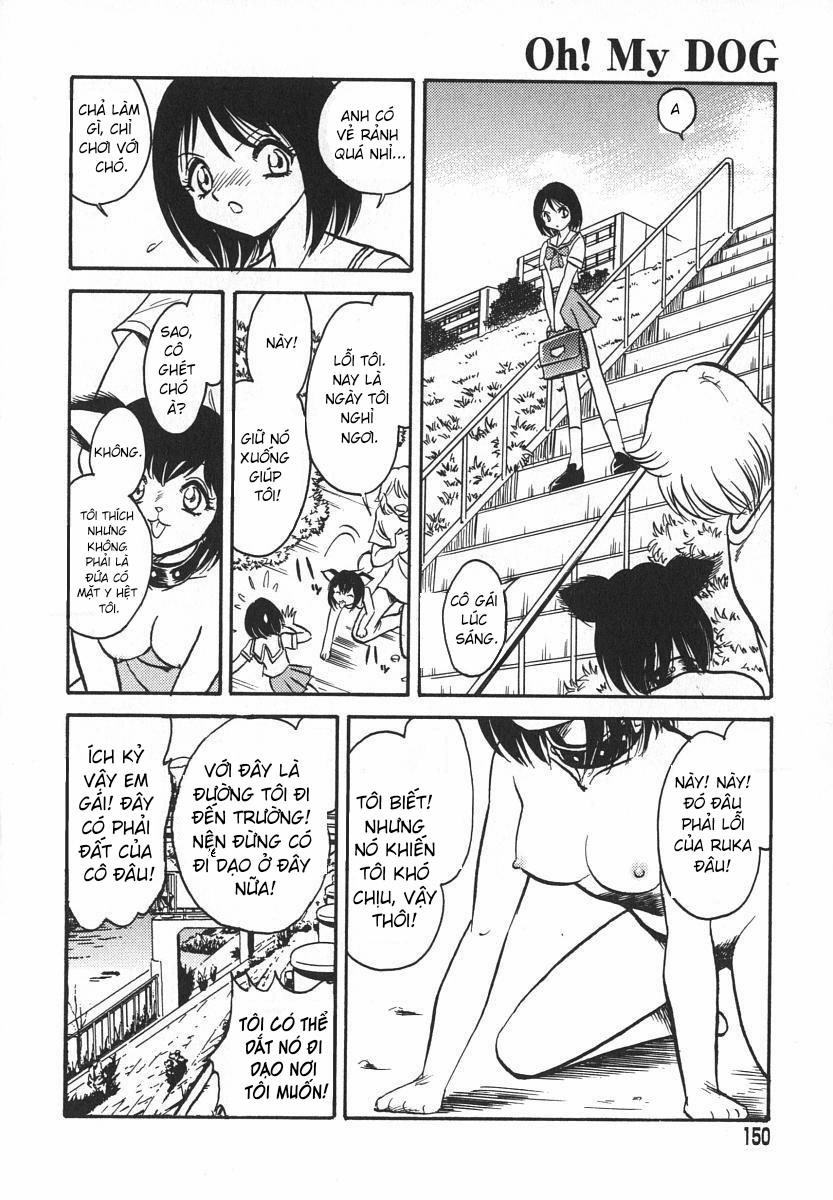 Oh! My DOG 8 trang 11