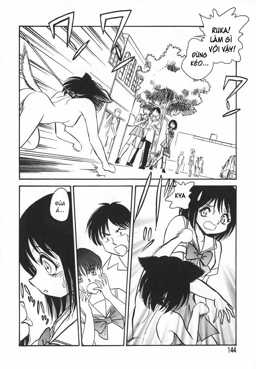 Oh! My DOG 8 trang 4