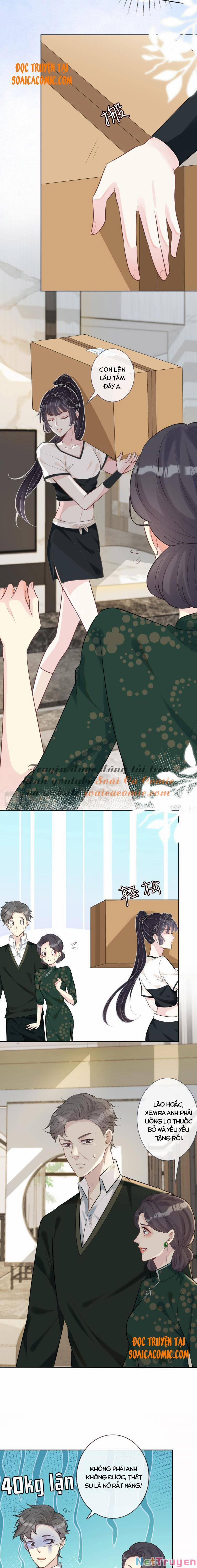 Ôm Khẩn Tiểu Mã Giáp Của Tôi 3 trang 2