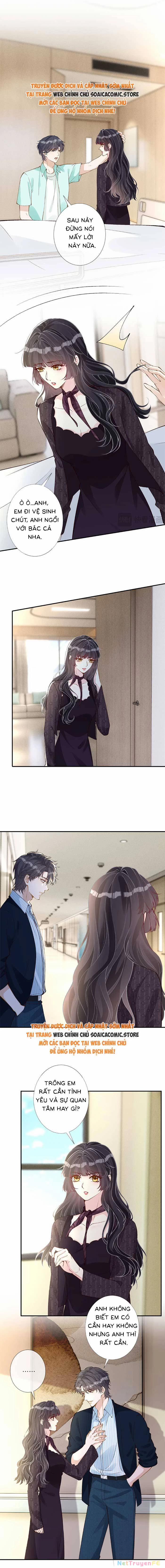 Ôm Khẩn Tiểu Mã Giáp Của Tôi 332 trang 3