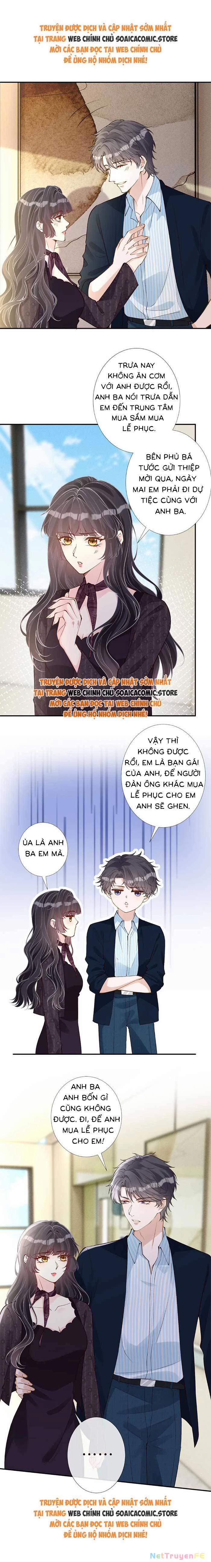 Ôm Khẩn Tiểu Mã Giáp Của Tôi 332 trang 4