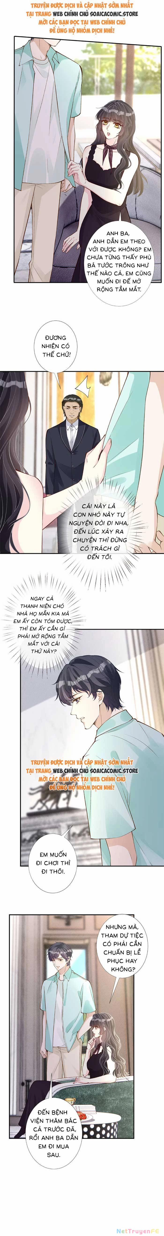 Ôm Khẩn Tiểu Mã Giáp Của Tôi 335 trang 1