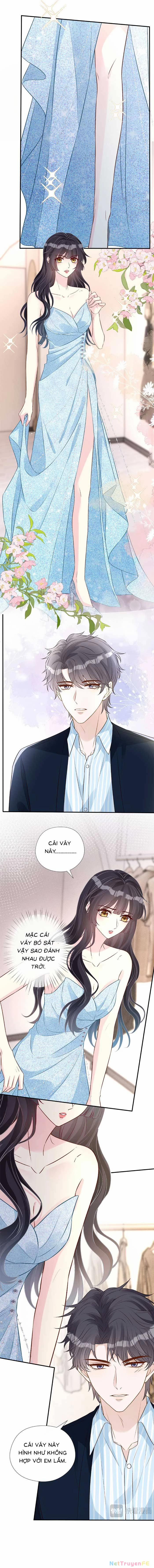 Ôm Khẩn Tiểu Mã Giáp Của Tôi 335 trang 6