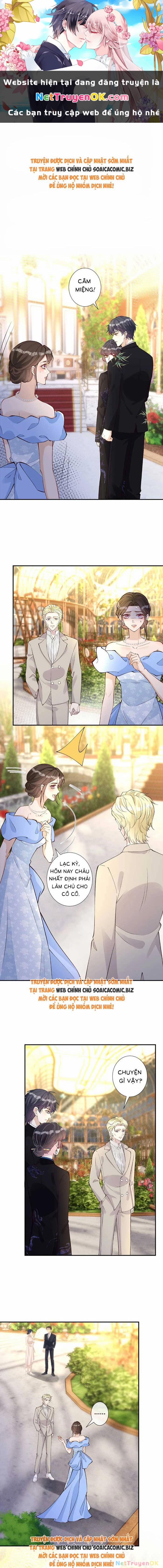 Ôm Khẩn Tiểu Mã Giáp Của Tôi 340 trang 0