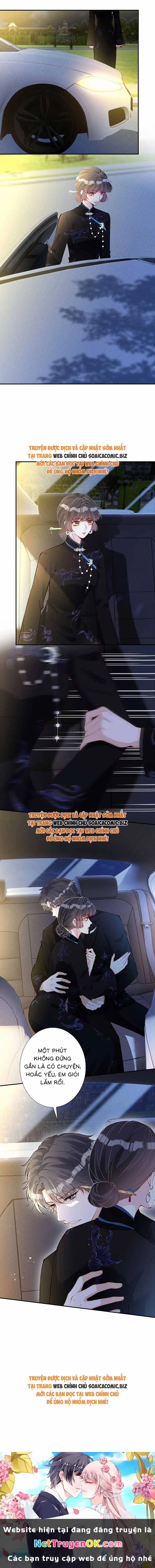 Ôm Khẩn Tiểu Mã Giáp Của Tôi 340 trang 7