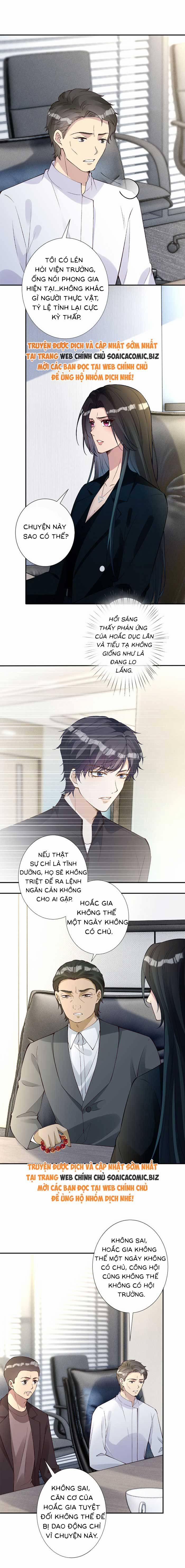 Ôm Khẩn Tiểu Mã Giáp Của Tôi 343 trang 1