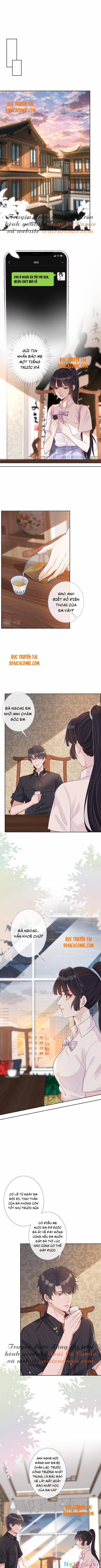 Ôm Khẩn Tiểu Mã Giáp Của Tôi 5 trang 1