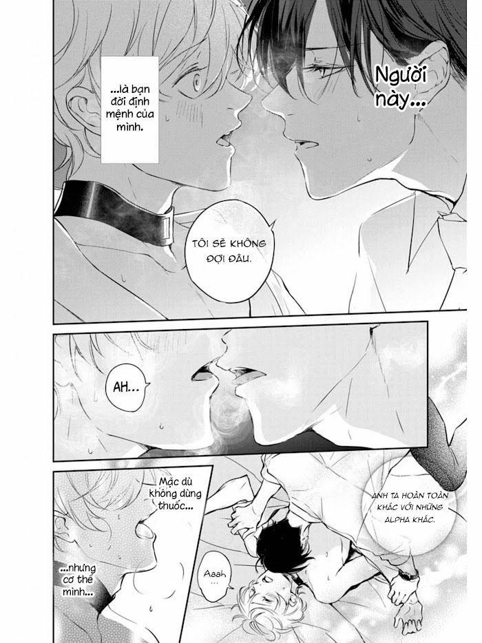 Omega cuối cùng không thể bị đánh dấu!!! 1 trang 13