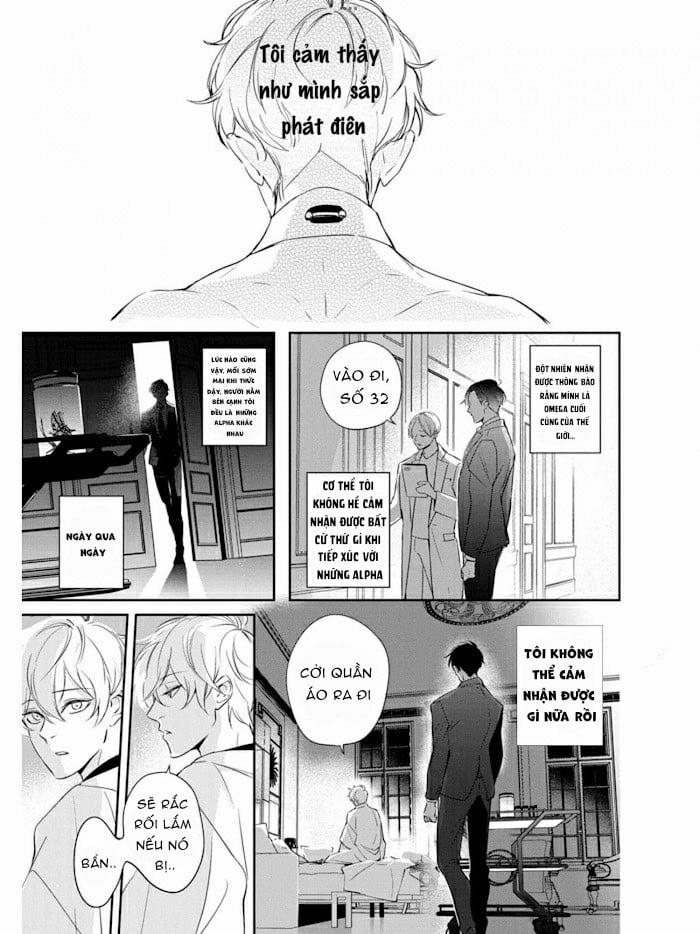 Omega Cuối Cùng Không Thể Kết Đôi 1.1 trang 9