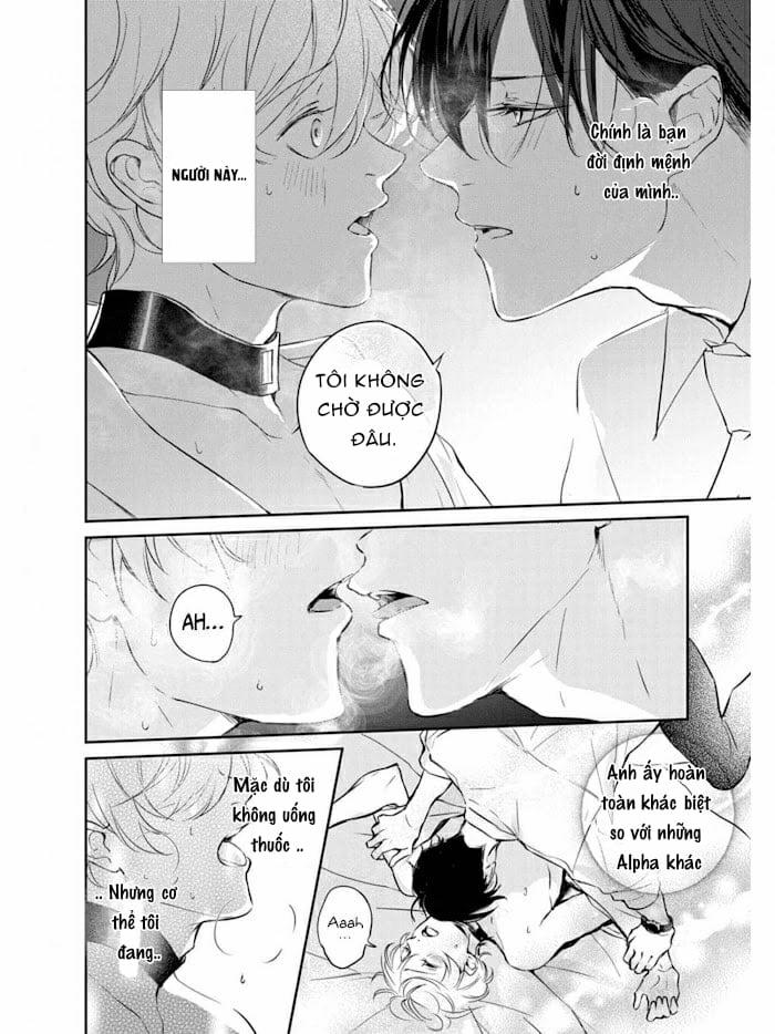 Omega Cuối Cùng Không Thể Kết Đôi 1 trang 13