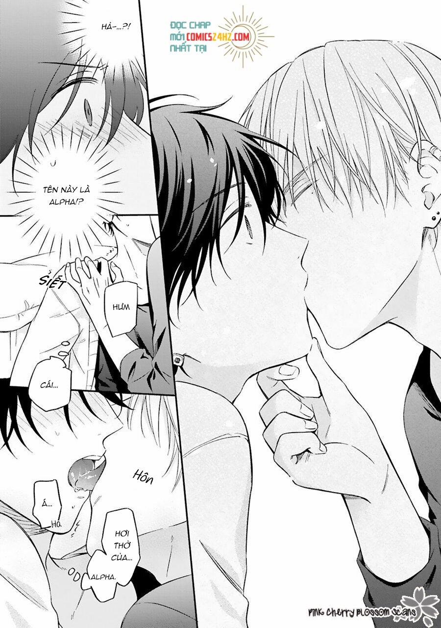 Omega Đơn Thân Và Yakuza Bạo Chúa 1 trang 14