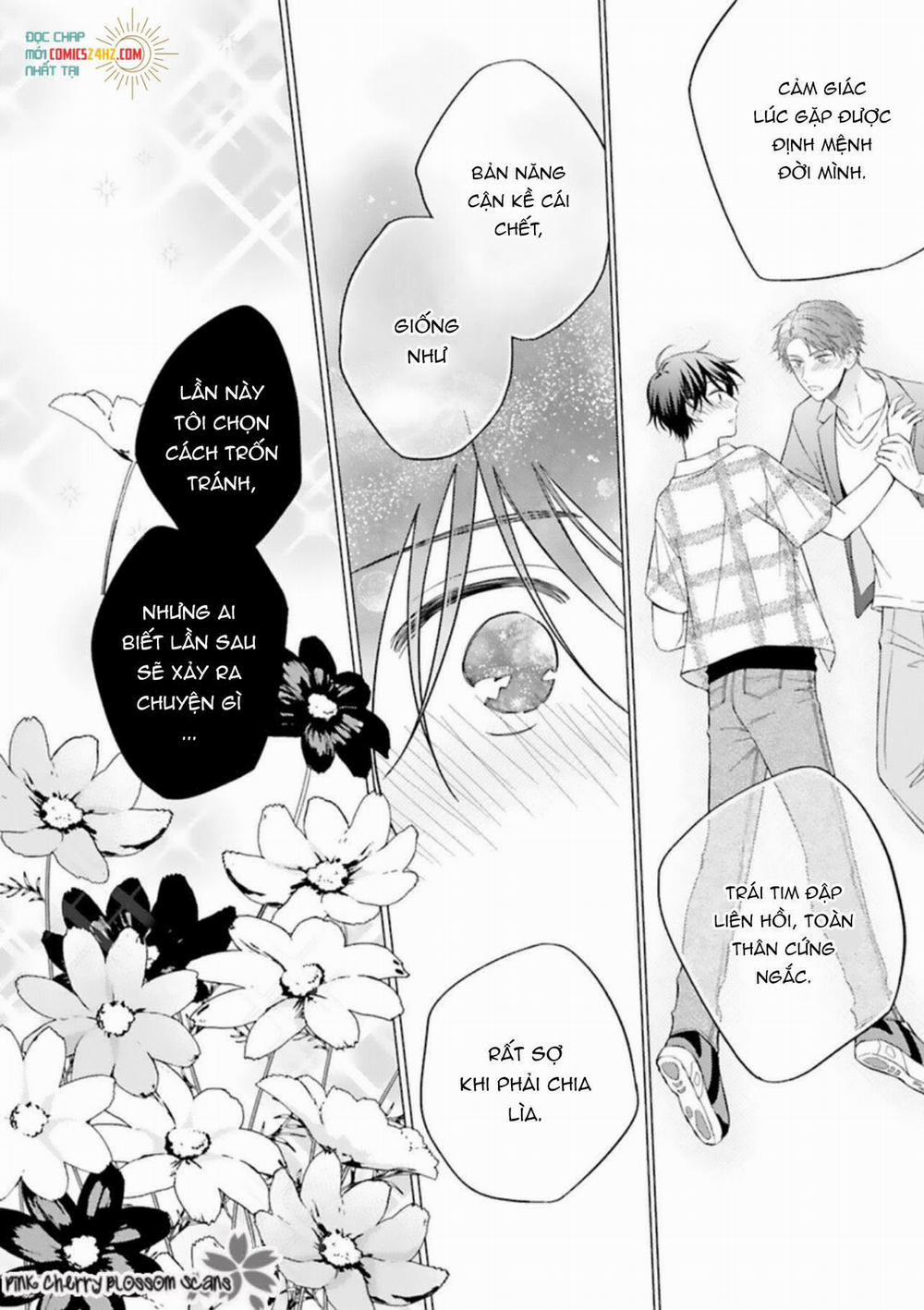 Omega Đơn Thân Và Yakuza Bạo Chúa 3 trang 21