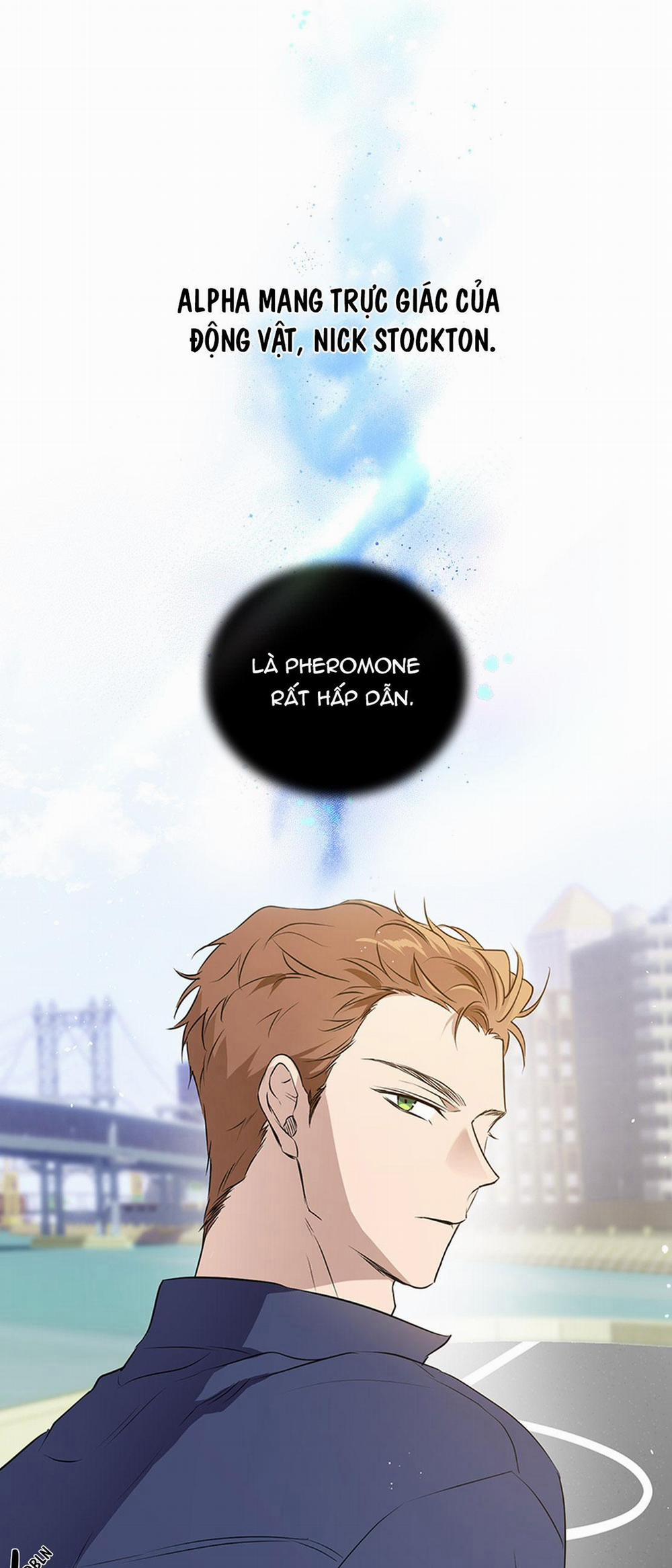 OMEGA HOÀN HẢO CỦA TÔI 0 trang 1