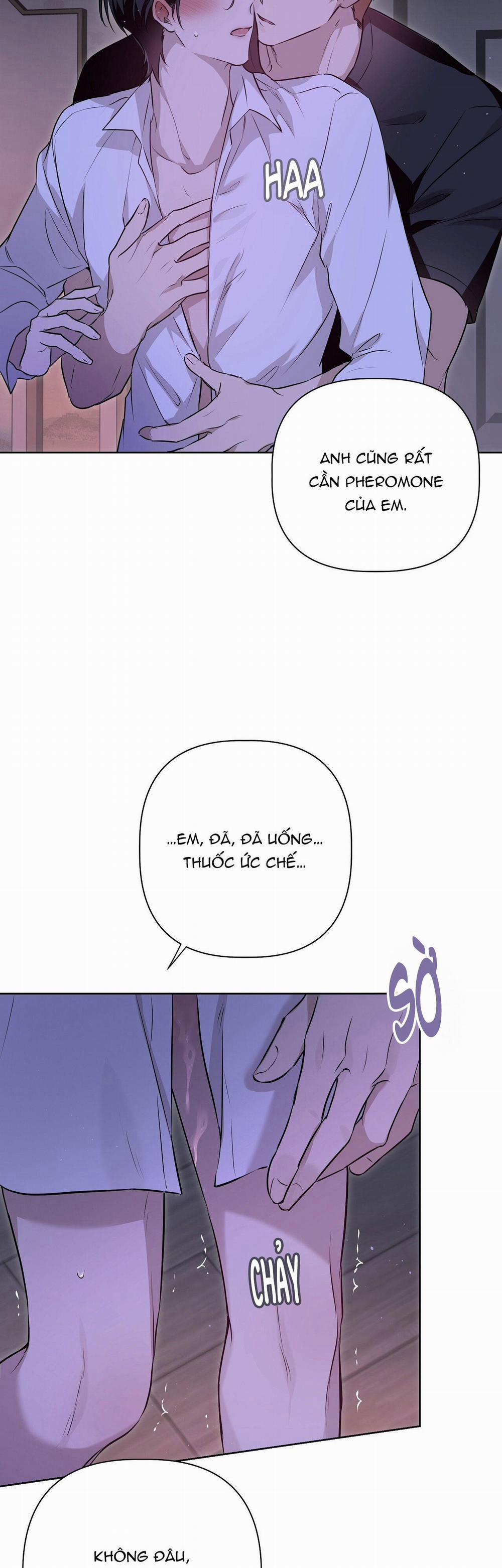 OMEGA HOÀN HẢO CỦA TÔI 6 trang 4