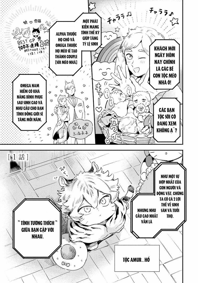 Omega Mùa Xuân Quý Hiếm 1 trang 4