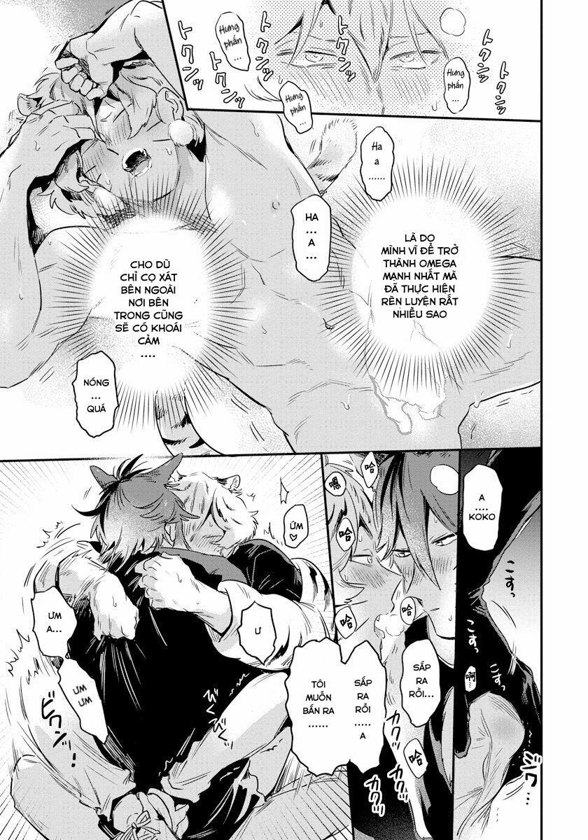 Omega Mùa Xuân Quý Hiếm 2 trang 18