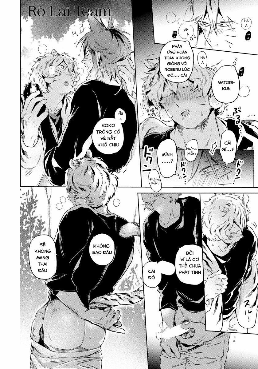 Omega Mùa Xuân Quý Hiếm 2 trang 19