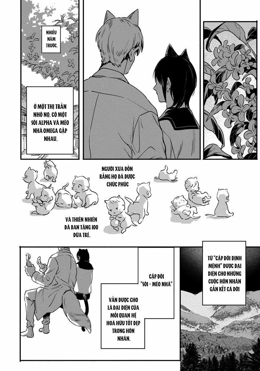 Omega quý hiếm 1 trang 8