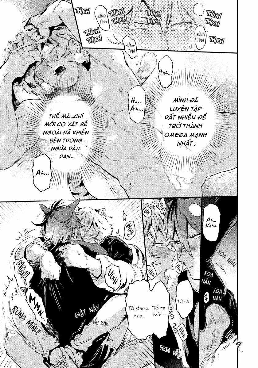 Omega quý hiếm 2 trang 19
