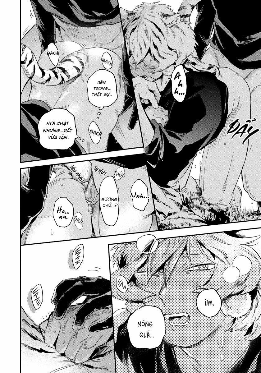 Omega quý hiếm 2 trang 22