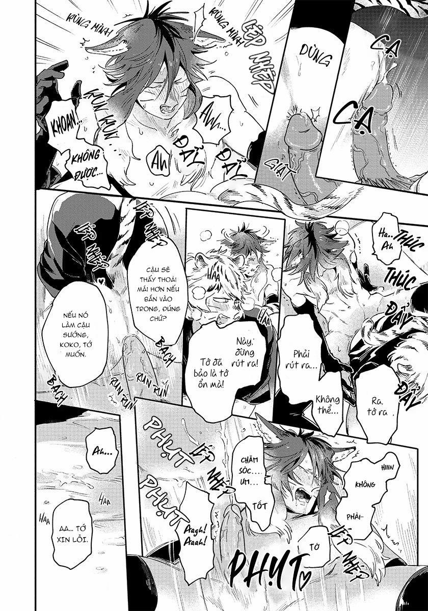 Omega quý hiếm 3 trang 14