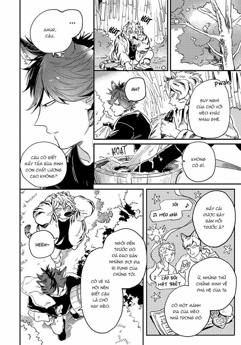 Omega quý hiếm 3 trang 16