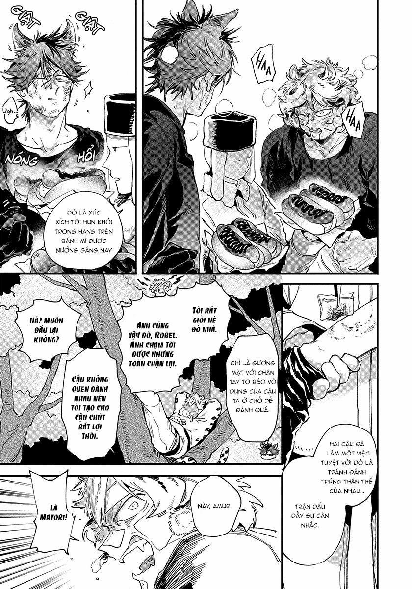 Omega quý hiếm 3 trang 19