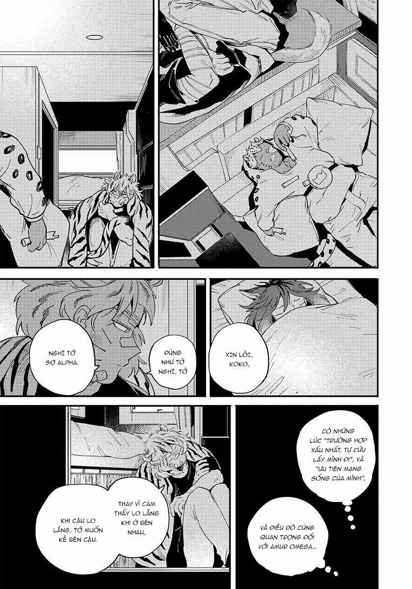 Omega quý hiếm 3 trang 21