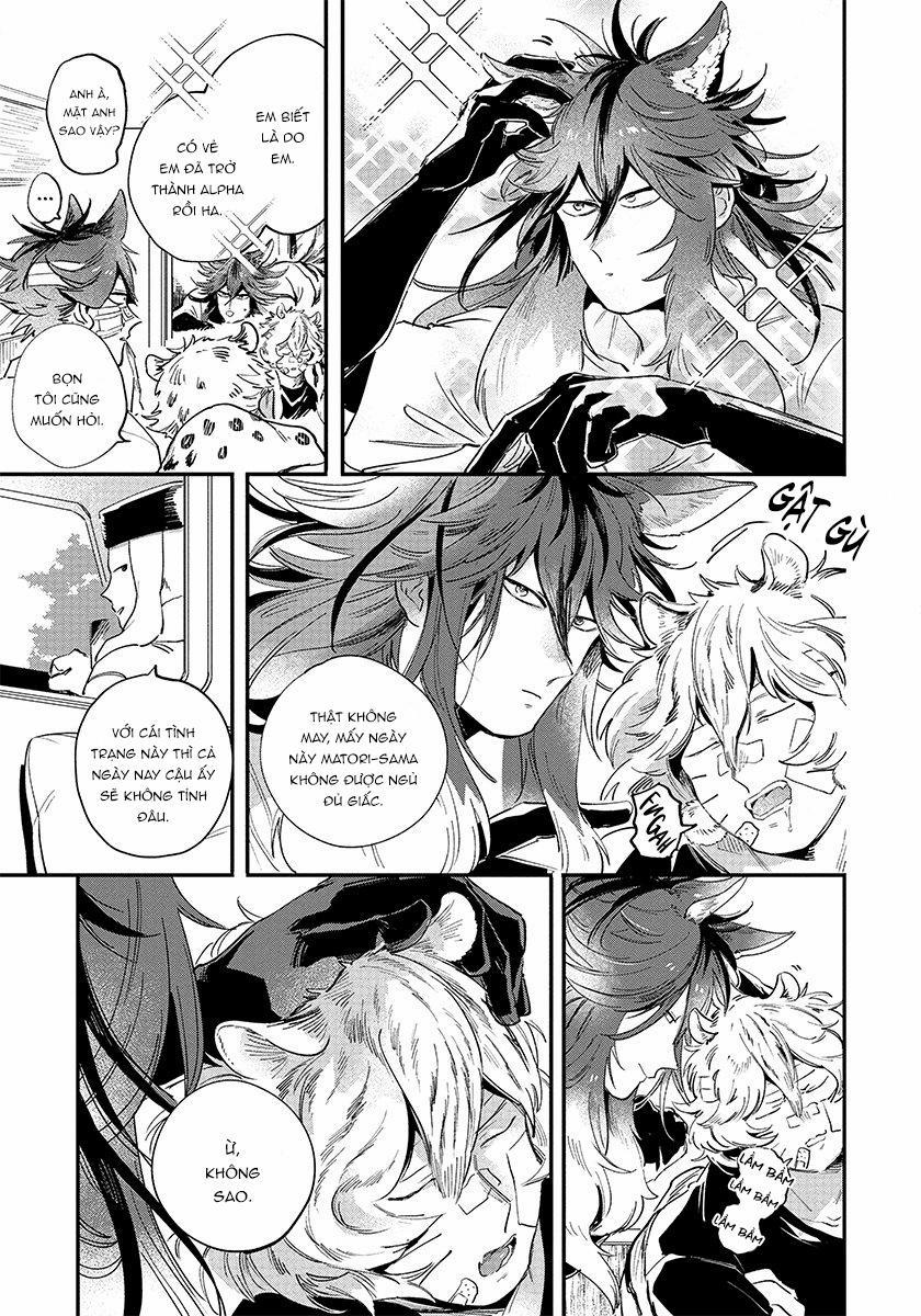 Omega quý hiếm 3 trang 23