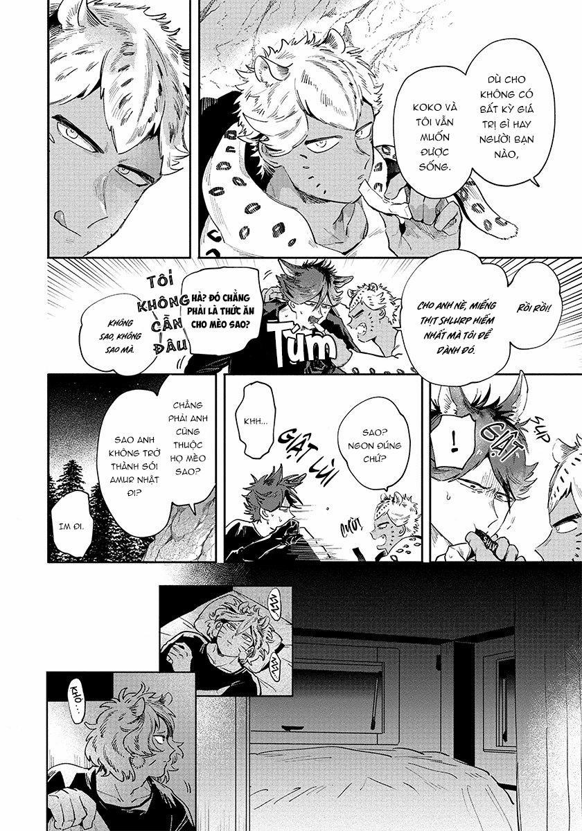 Omega quý hiếm 3 trang 6