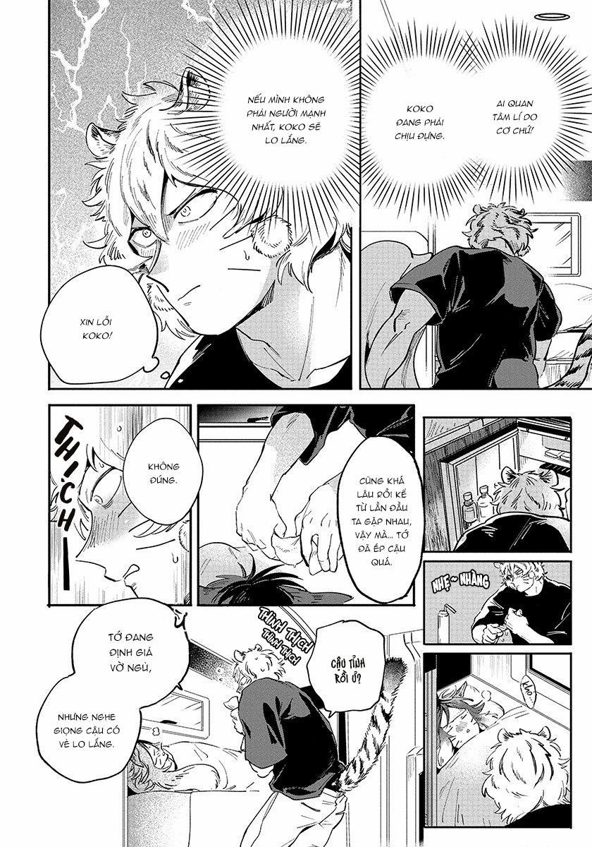 Omega quý hiếm 3 trang 8