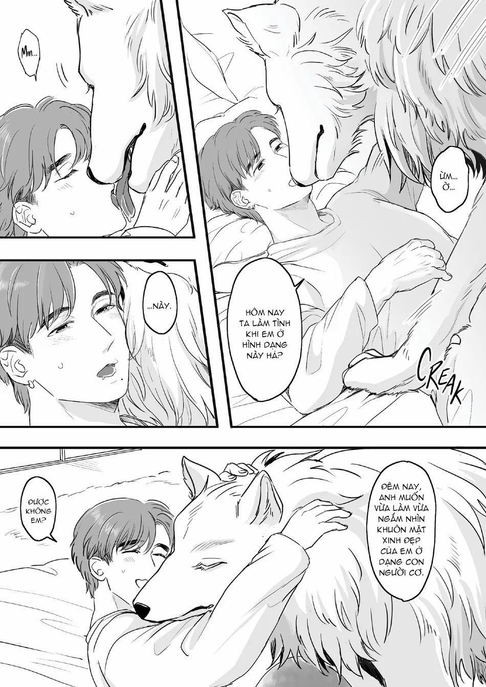 Oneshot Vicera Comics House 133 Chó Sói trang 8