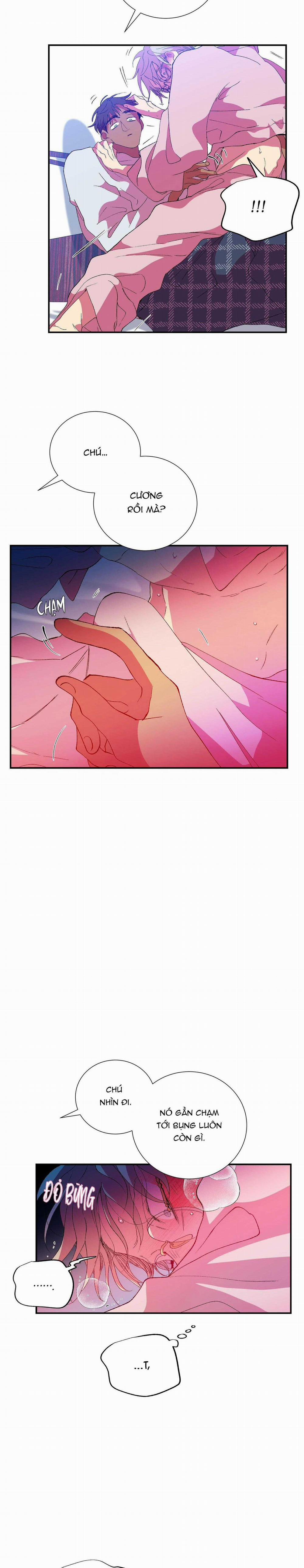 Ông Chú Bên Cửa Sổ 63 trang 9