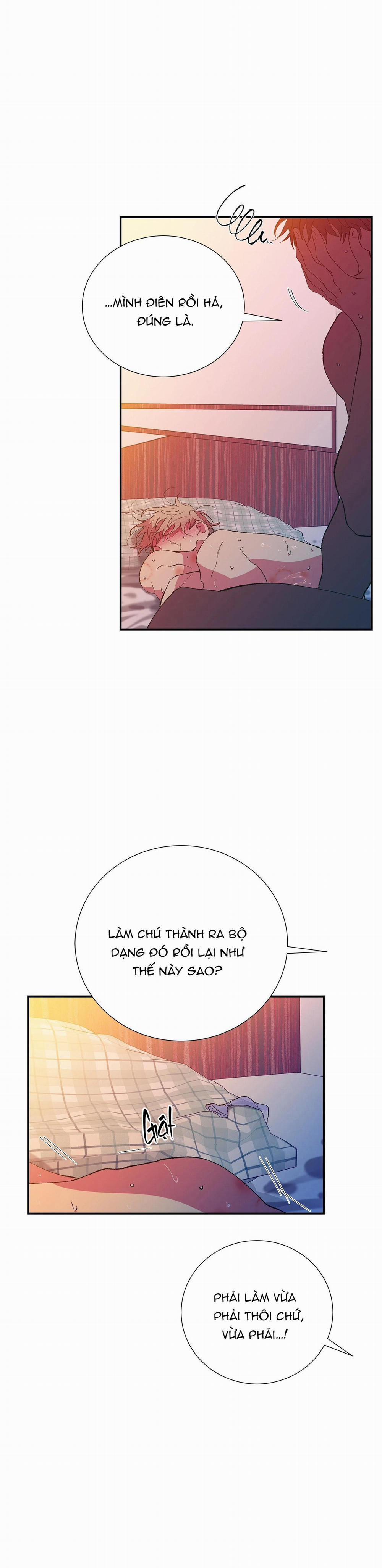 Ông Chú Bên Cửa Sổ 68 trang 8