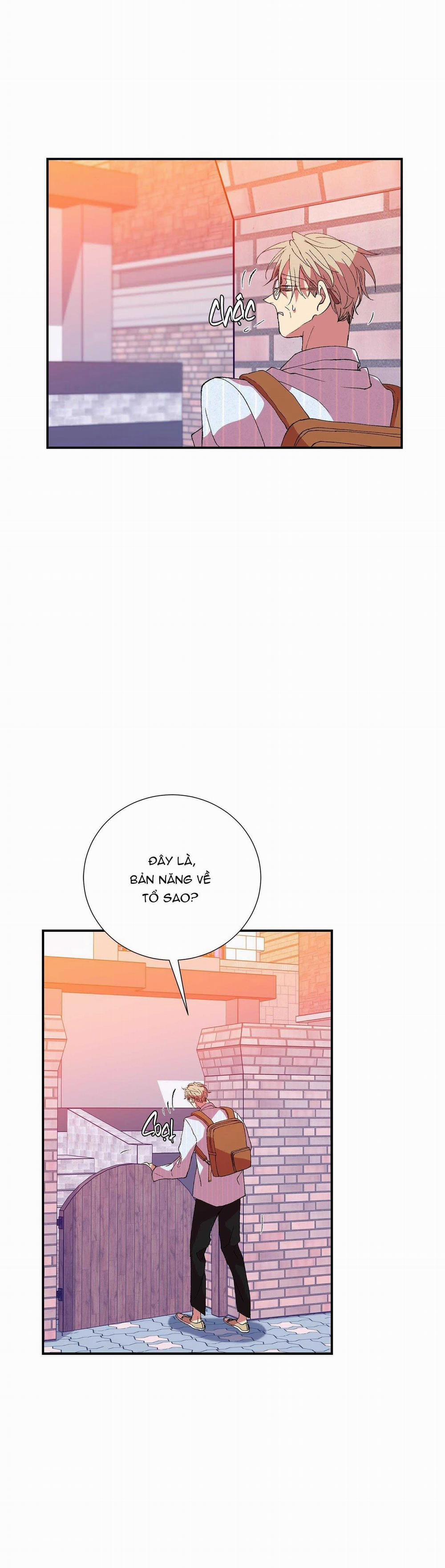 Ông Chú Bên Cửa Sổ 74 trang 2