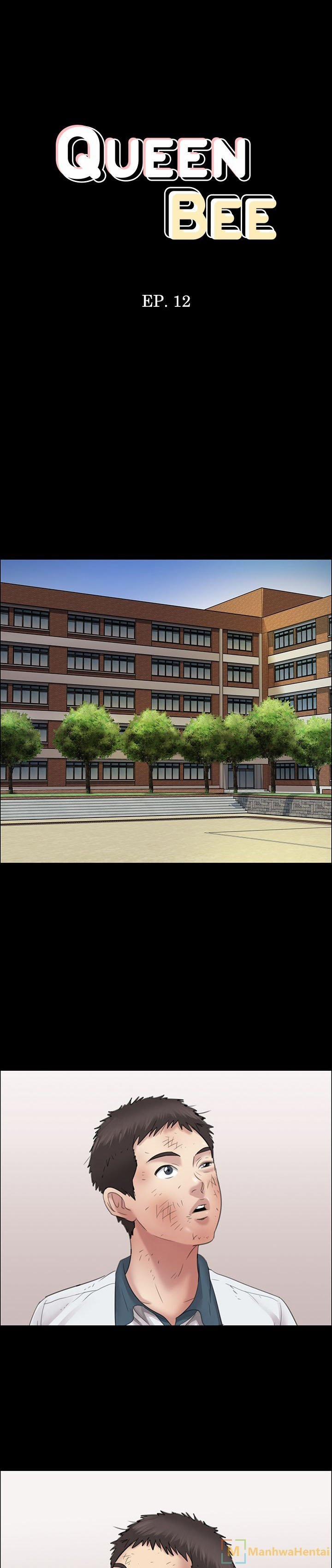 Ong Chúa (Queen Bee) 12 trang 0