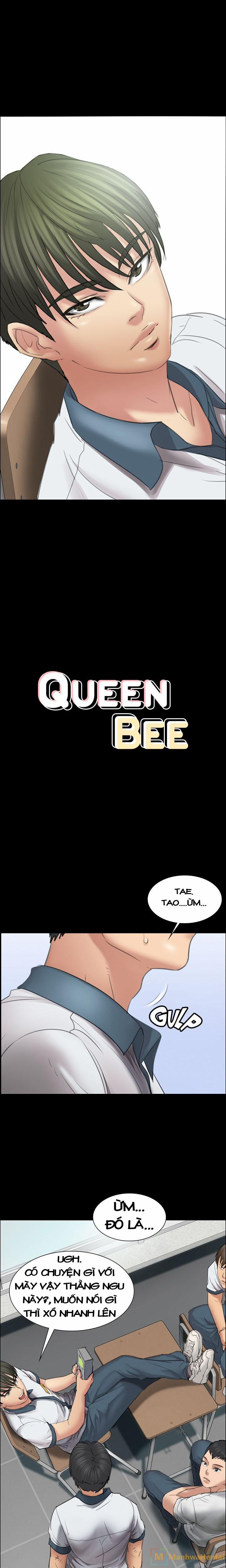 Ong Chúa (Queen Bee) 13 trang 1