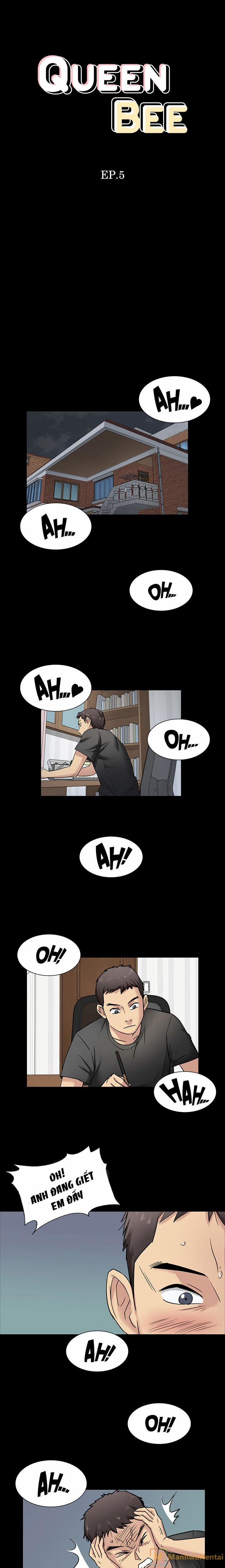 Ong Chúa (Queen Bee) 5 trang 0