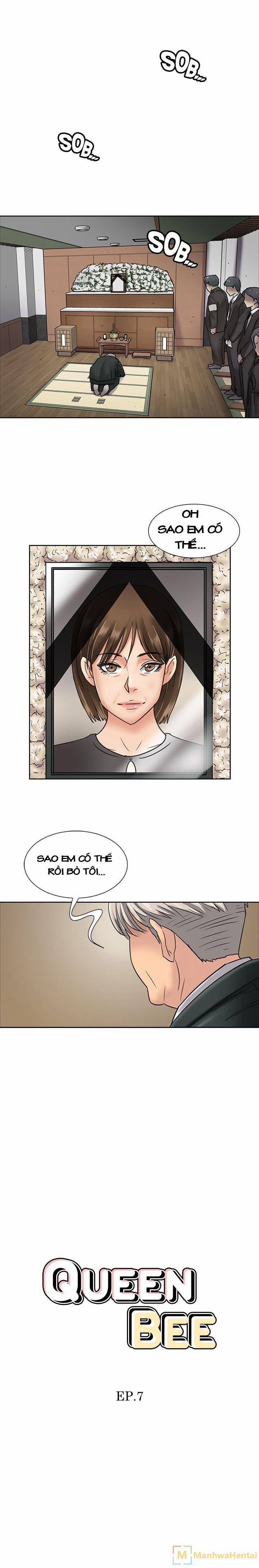 Ong Chúa (Queen Bee) 7 trang 0