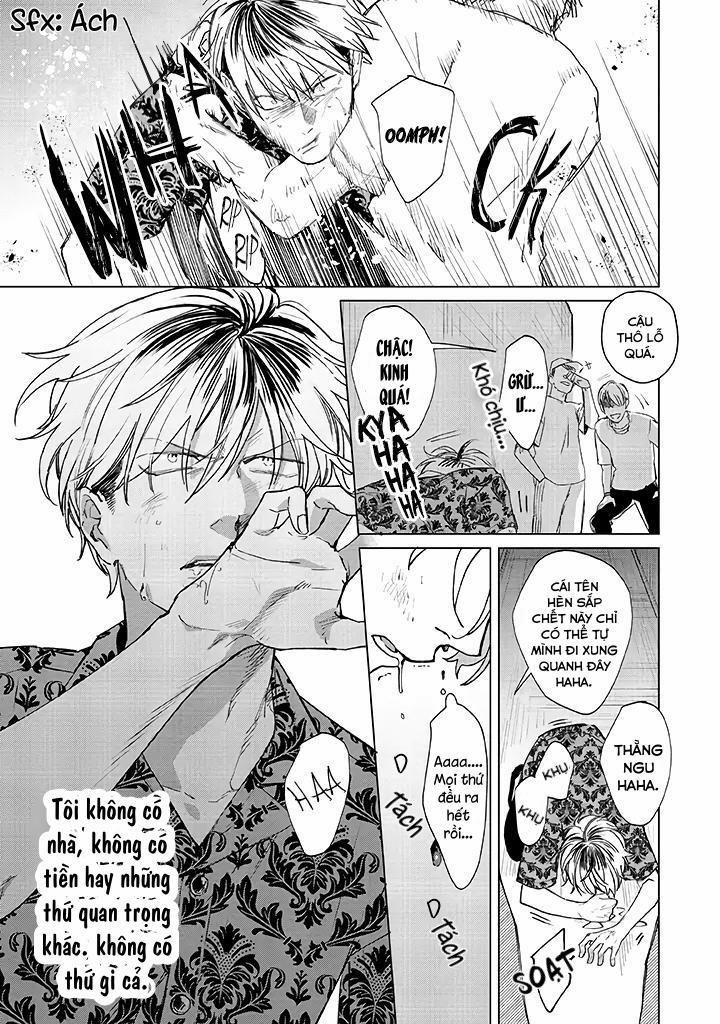 Ong Mật Và Tía Tô Đất 1 trang 1