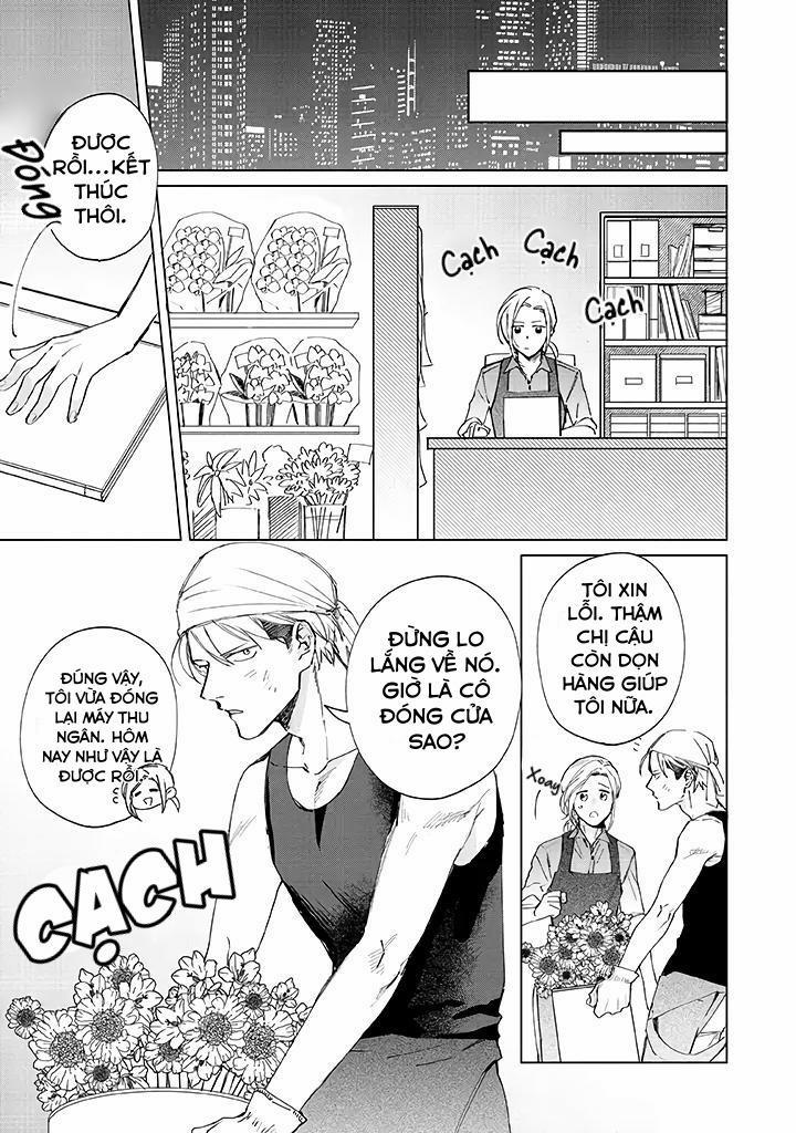 Ong Mật Và Tía Tô Đất 1 trang 19