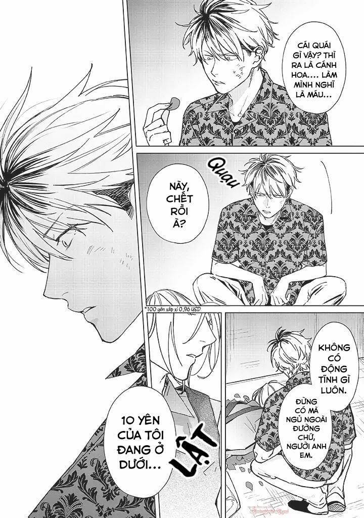 Ong Mật Và Tía Tô Đất 1 trang 6