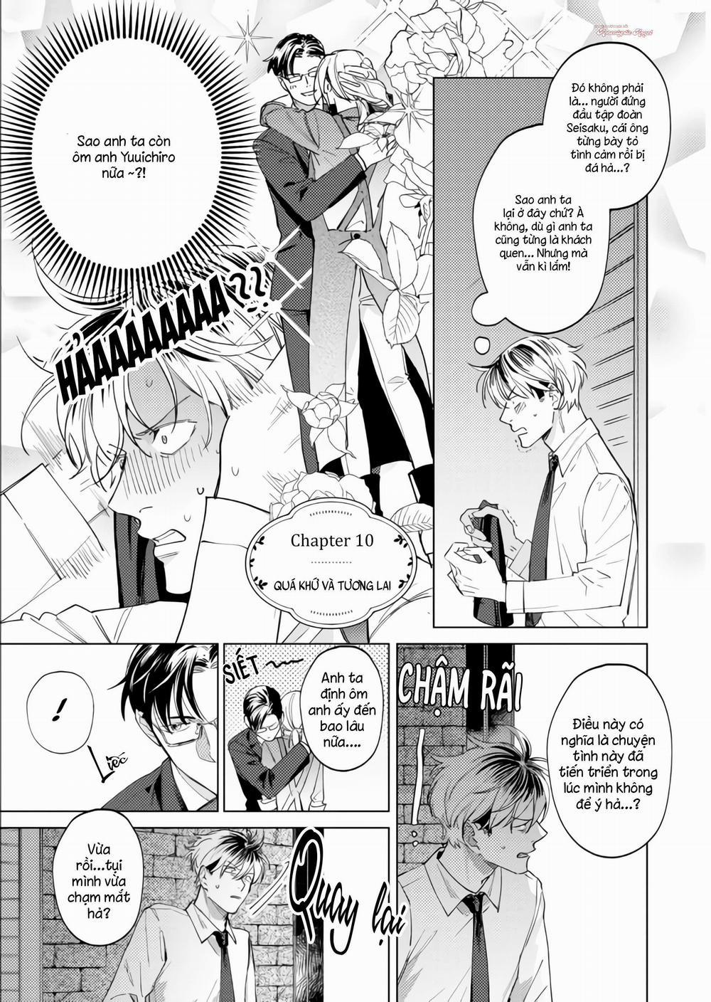 Ong Mật Và Tía Tô Đất 10 trang 1