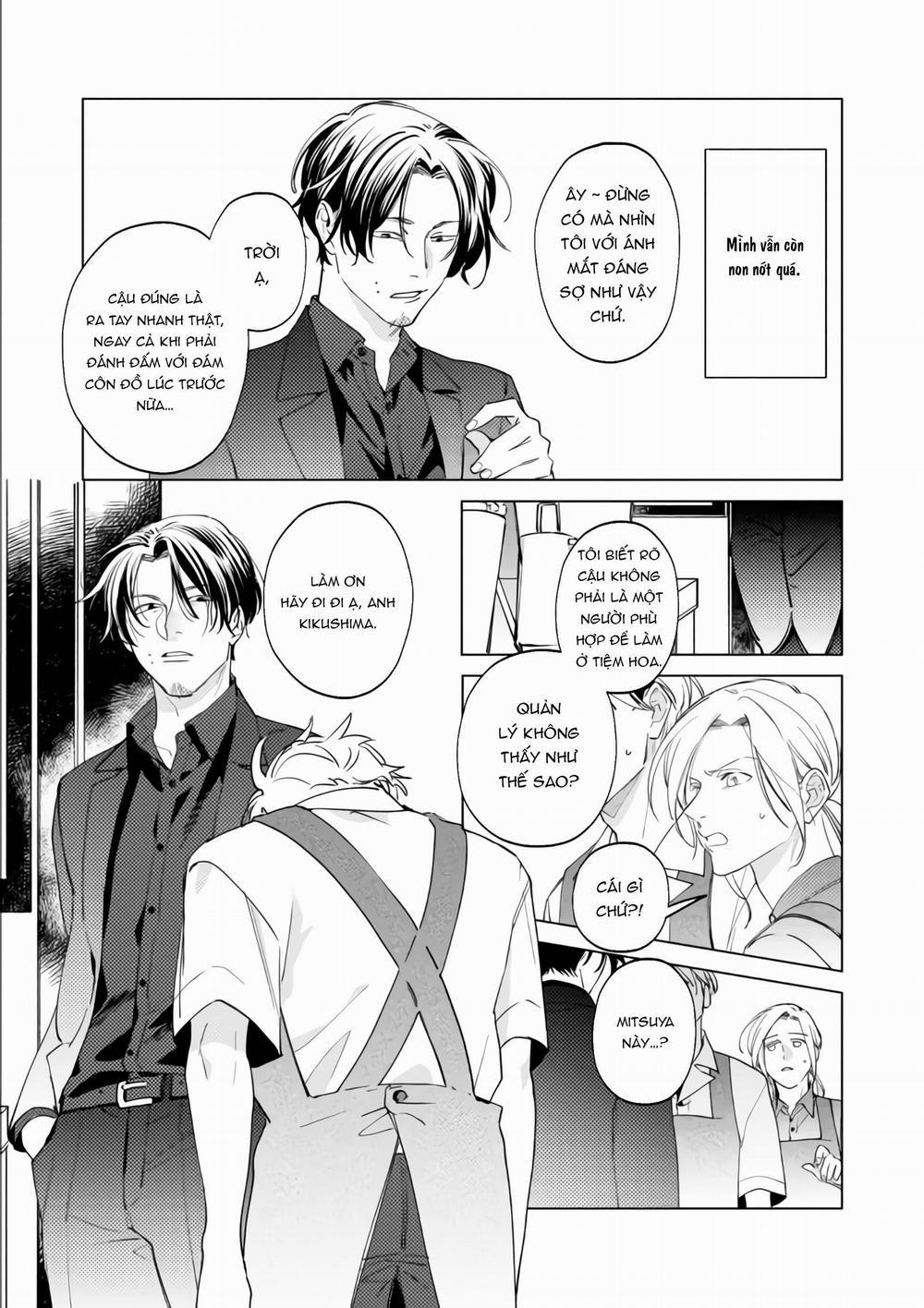 Ong Mật Và Tía Tô Đất 10 trang 17