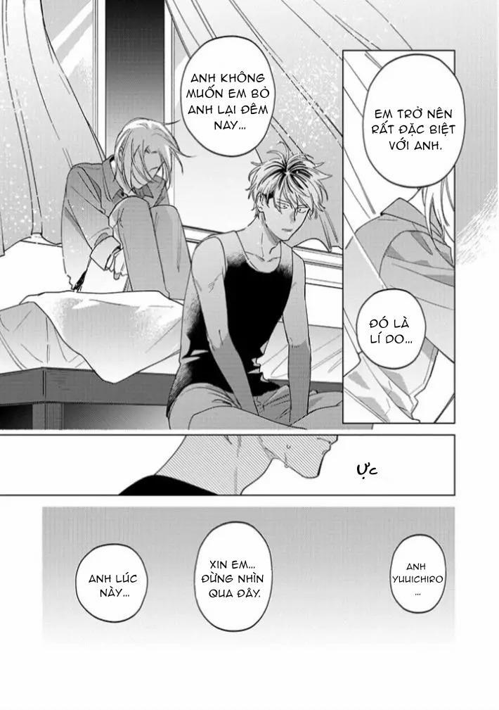 Ong Mật Và Tía Tô Đất 11 trang 12