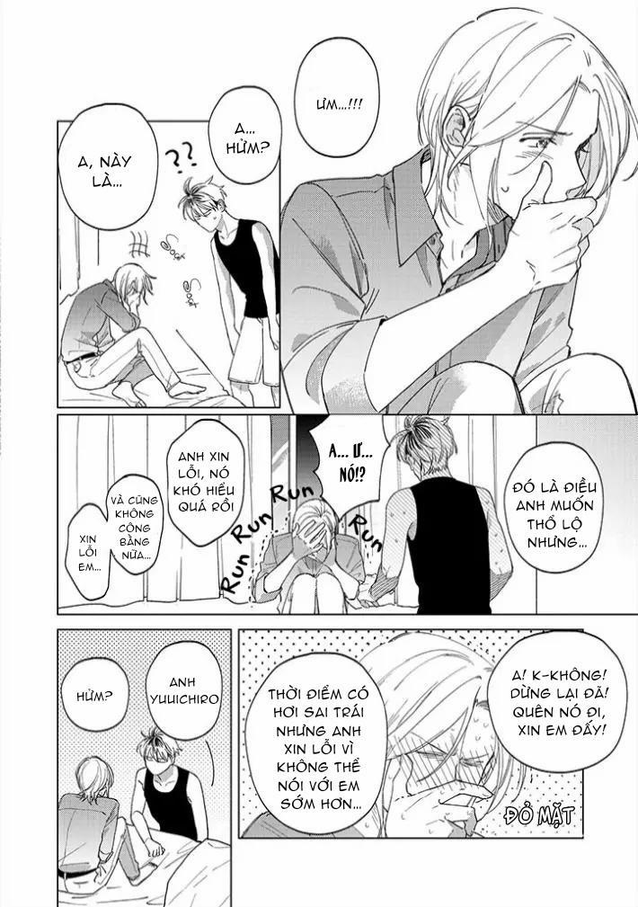 Ong Mật Và Tía Tô Đất 11 trang 13