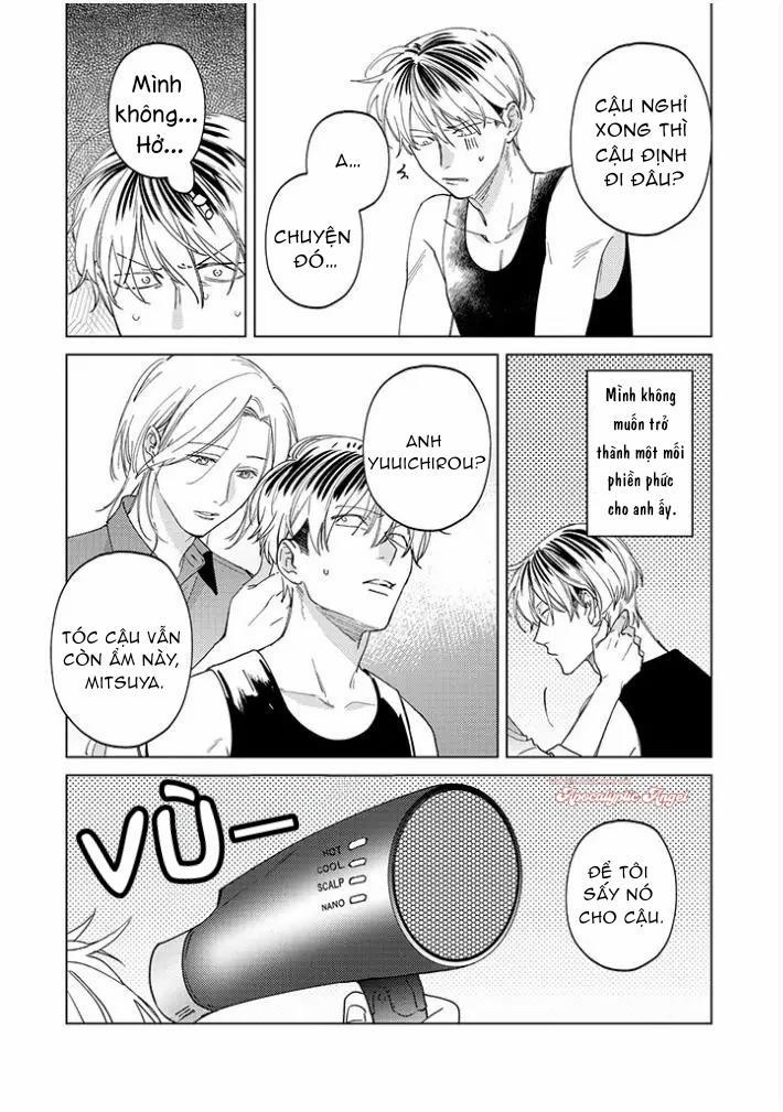 Ong Mật Và Tía Tô Đất 11 trang 5