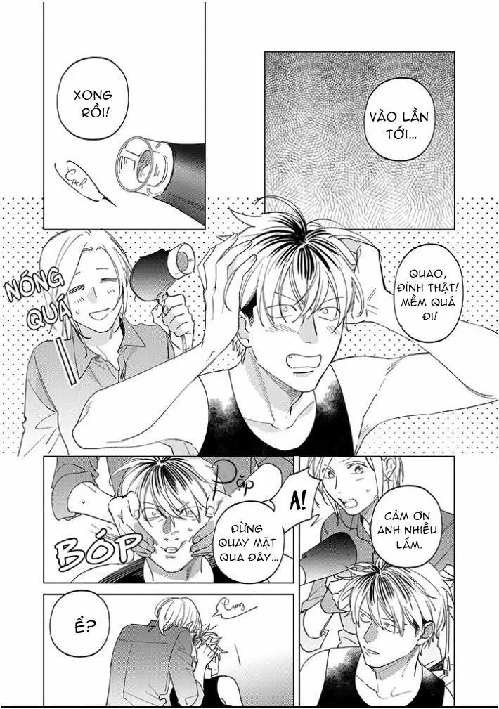 Ong Mật Và Tía Tô Đất 11 trang 8