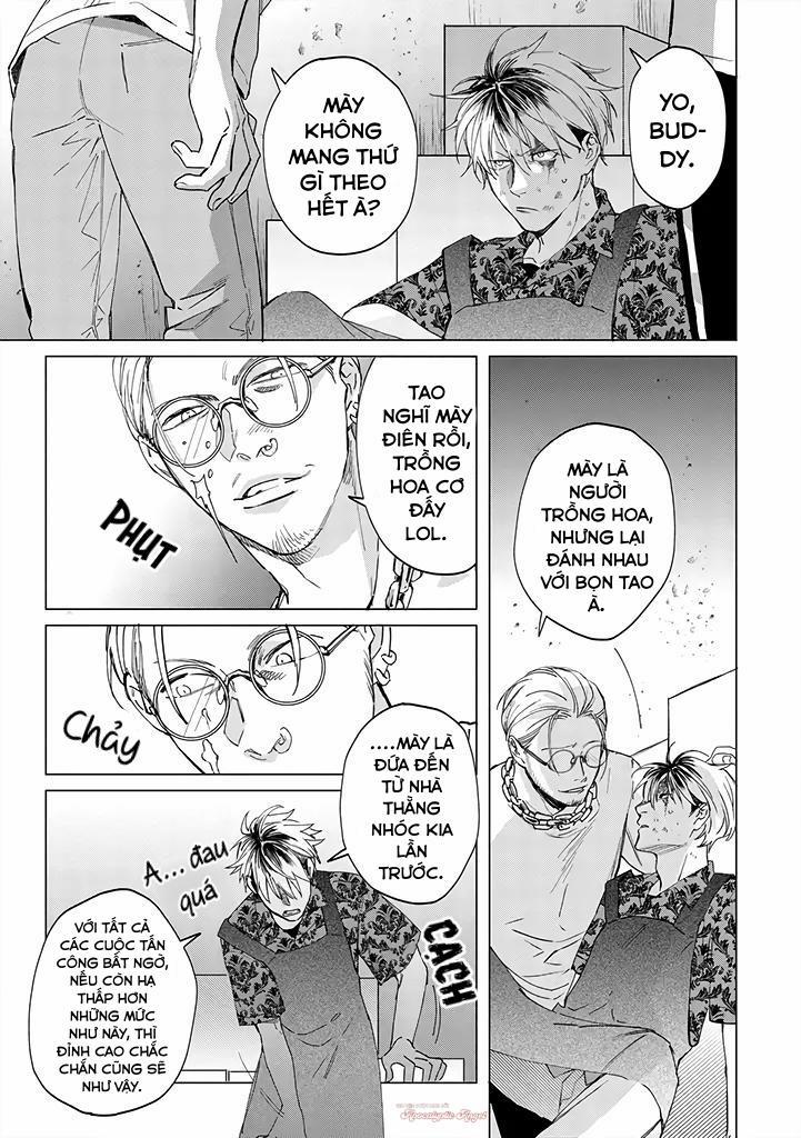 Ong Mật Và Tía Tô Đất 2 trang 13